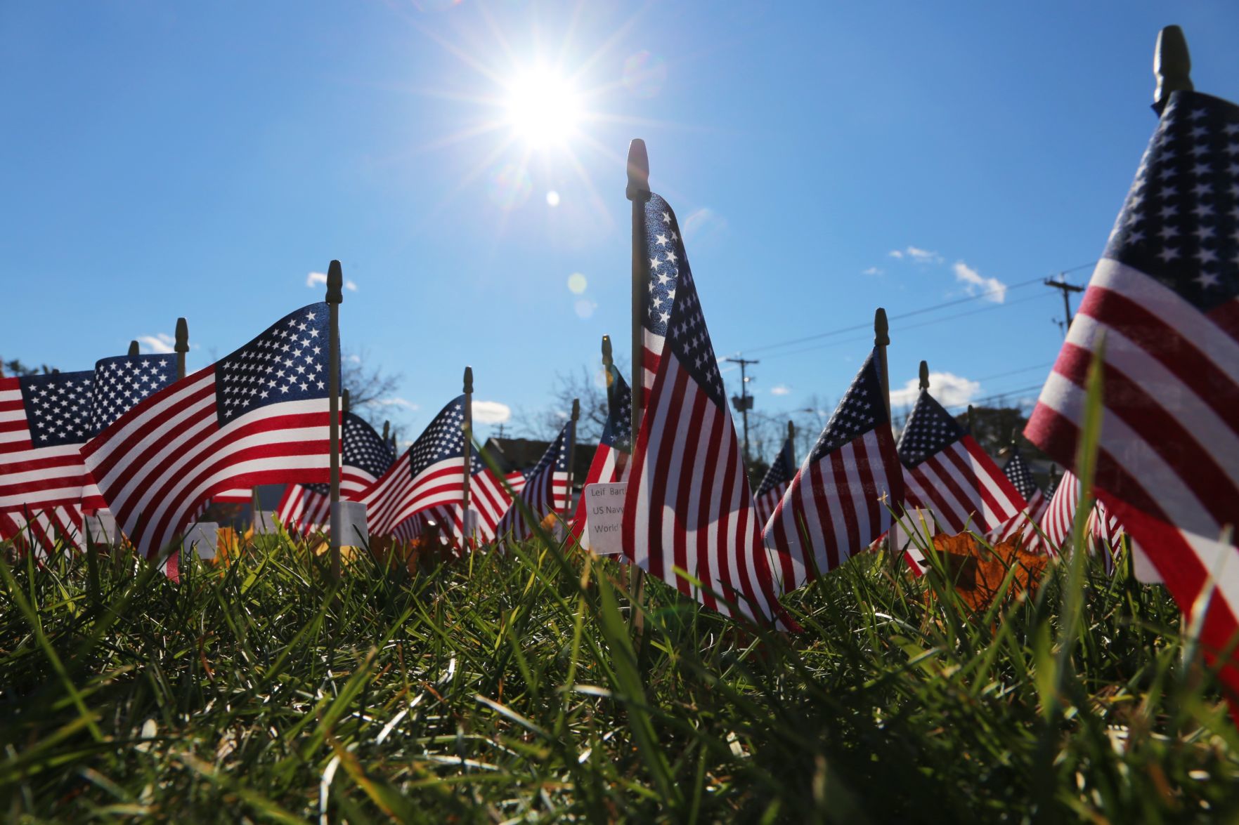 Field of Flags